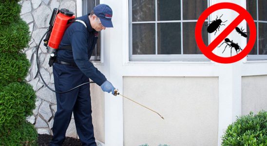 Bayraklı Fare İlaçlama böcek ilaçlama ve haşere kontrolü — ilaclama-tr.com